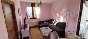 BINIS 34 Zlatibor